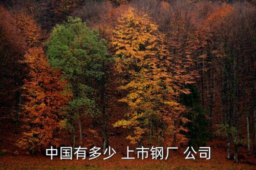 中國有多少 上市鋼廠 公司