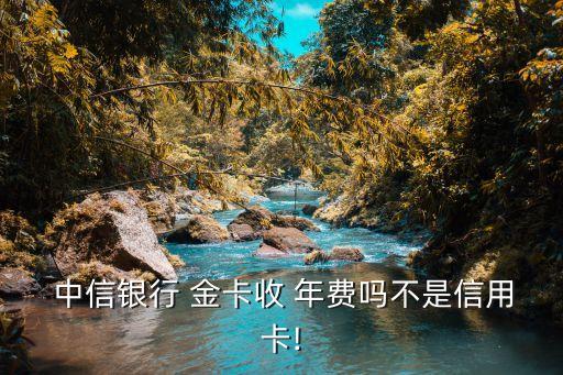 中信魔力金卡的年費多少,中信女性魔力金卡好處