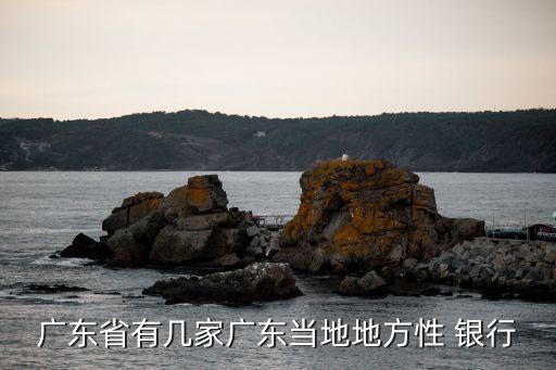 廣東省有幾家廣東當(dāng)?shù)氐胤叫?銀行