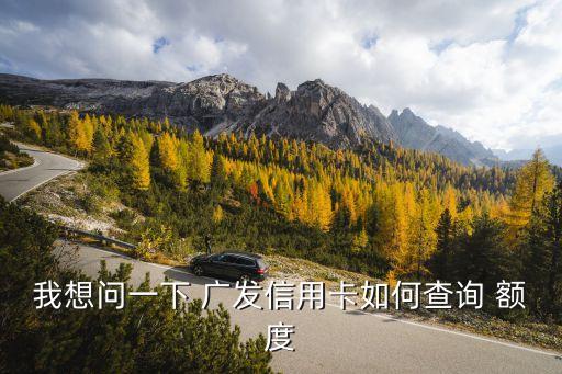 我想問一下 廣發(fā)信用卡如何查詢 額度