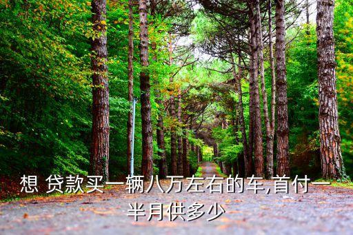 8萬的車貸款要多少錢,10萬車貸款違約金多少