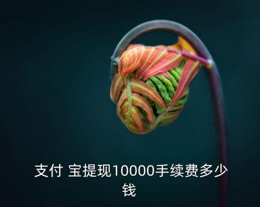 支付寶提現(xiàn)金額多少錢
