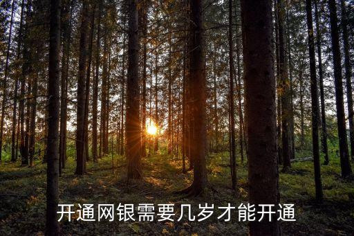 多少歲可以開網(wǎng)銀,開通網(wǎng)銀最小多少歲