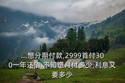 ...想分期付款,2999首付300一年還清,不知道月付多少,利息又要多少