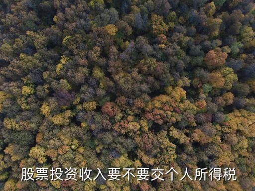 個(gè)人股票稅率是多少,股票分紅的稅率是多少