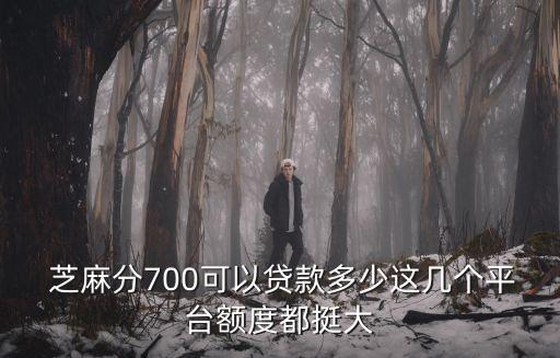  芝麻分700可以貸款多少這幾個(gè)平臺(tái)額度都挺大
