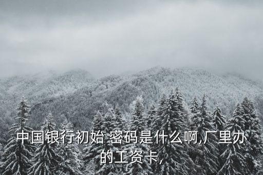中國(guó)銀行初始 密碼是什么啊,廠里辦的工資卡,