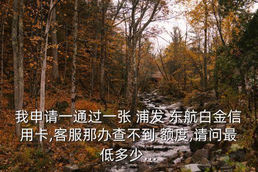 東航浦發(fā)聯(lián)名卡金卡額度最低多少,浦發(fā)東航聯(lián)名卡金卡年費(fèi)