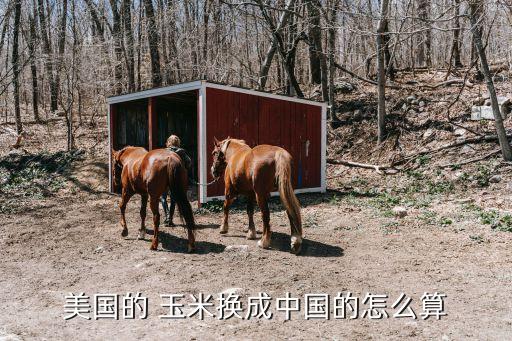 美玉米期貨一手多少噸,玉米期貨一手一天利潤