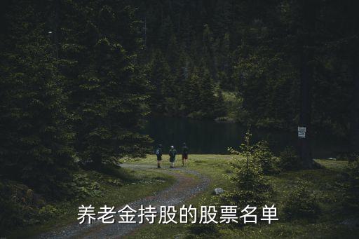 養(yǎng)老金持股的股票名單