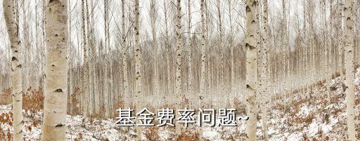  基金費(fèi)率問(wèn)題~