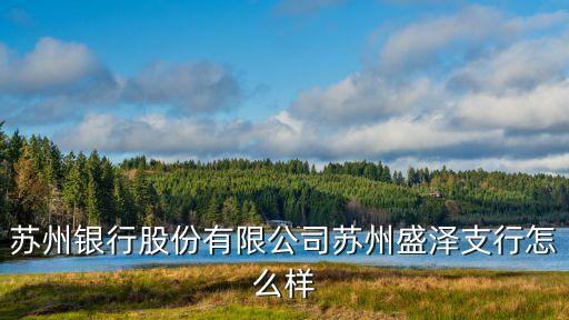 蘇州銀行股份有限公司蘇州盛澤支行怎么樣