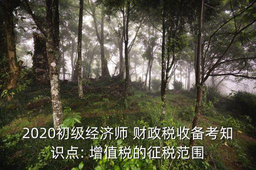 增值稅多少要繳入財(cái)政,在哪里查一年繳了多少增值稅