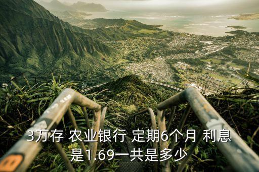 3萬存 農(nóng)業(yè)銀行 定期6個月 利息是1.69一共是多少