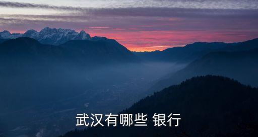 武漢有哪些 銀行