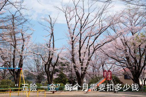 五險一金扣費標準是多少,寧波最低五險一金扣費標準