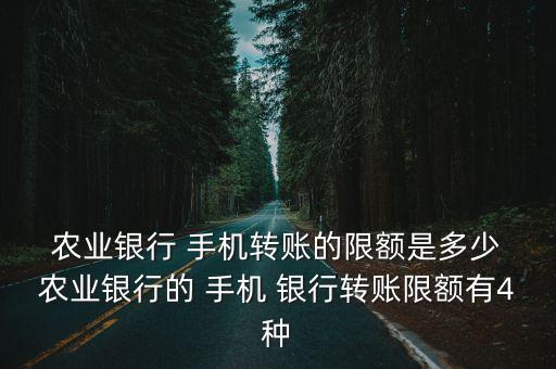 農(nóng)業(yè)銀行手機(jī)銀行一天能轉(zhuǎn)多少錢啊