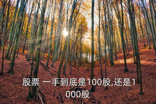  股票 一手到底是100股,還是1000股