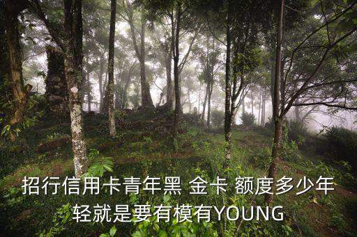 黑金卡的額度一般多少,百夫長金卡額度多少