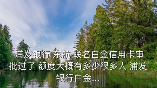  浦發(fā)銀行 東航 聯(lián)名白金信用卡審批過了 額度大概有多少很多人 浦發(fā)銀行白金...