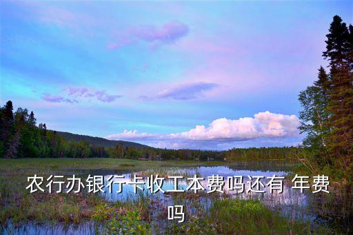 農(nóng)行辦卡年費(fèi)是多少錢,學(xué)校辦的農(nóng)行卡有年費(fèi)嗎