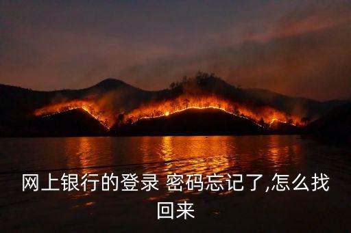 怎樣重置網(wǎng)銀密碼是多少,重置企業(yè)網(wǎng)銀密碼需要什么東西