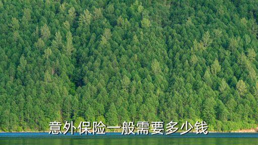 短期人身意外險多少錢,公司人身意外險多少錢一年