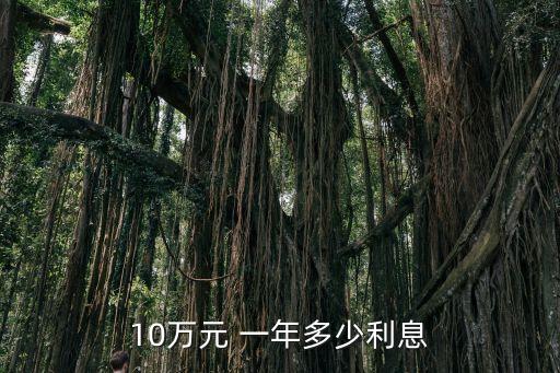 貸款10萬投資一年最少多少利潤
