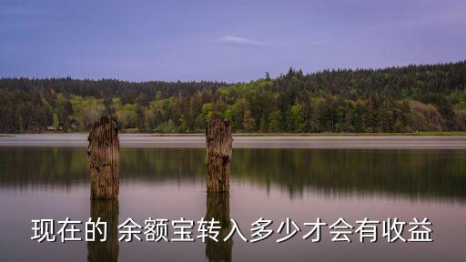 現(xiàn)在的 余額寶轉(zhuǎn)入多少才會有收益