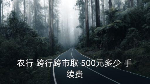 跨行取款500元手續(xù)費(fèi)多少錢