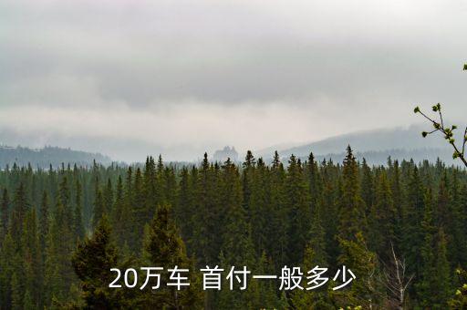 20萬車 首付一般多少