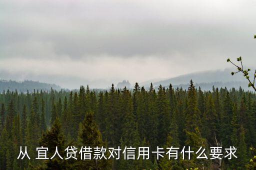 從 宜人貸借款對信用卡有什么要求