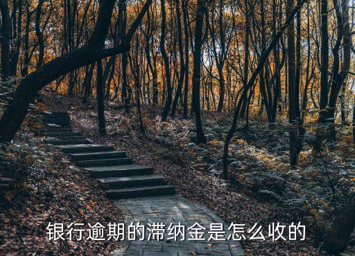 銀行逾期的滯納金是怎么收的
