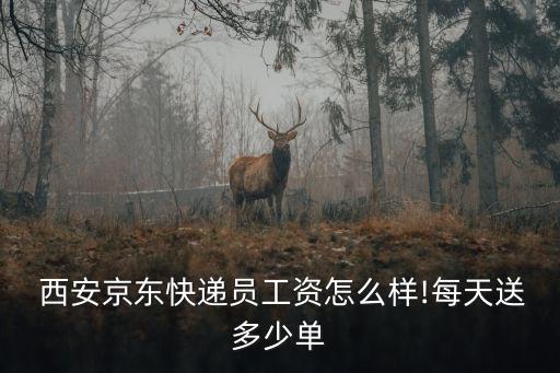  西安京東快遞員工資怎么樣!每天送多少單