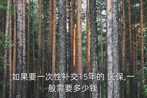 如果要一次性補(bǔ)交15年的 醫(yī)保,一般需要多少錢