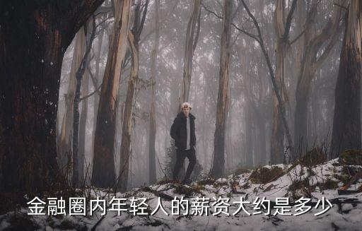 金融圈內(nèi)年輕人的薪資大約是多少