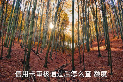 信用卡審核通過后怎么查 額度