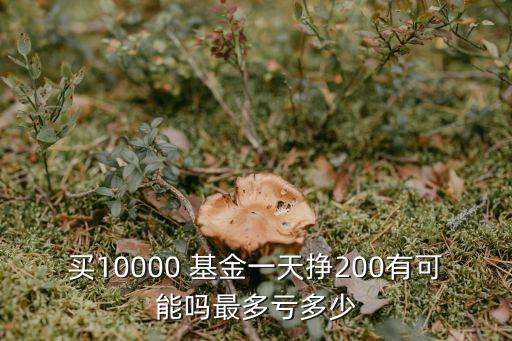 買10000 基金一天掙200有可能嗎最多虧多少