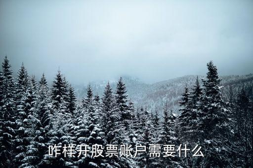 咋樣開(kāi)股票賬戶需要什么