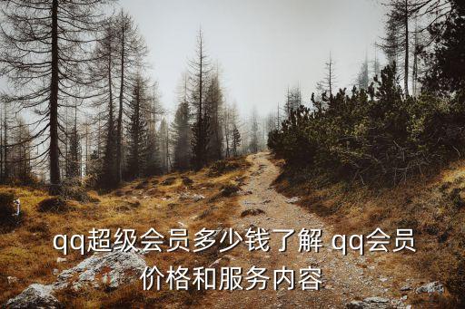 qq卡辦多少錢一個月多少錢