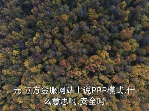 元 立方金服網(wǎng)站上說PPP模式,什么意思啊,安全嗎