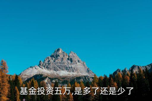  基金投資五萬,是多了還是少了