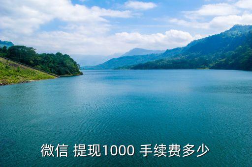 一千提現(xiàn)手續(xù)費(fèi)多少錢,一千塊提現(xiàn)手續(xù)費(fèi)