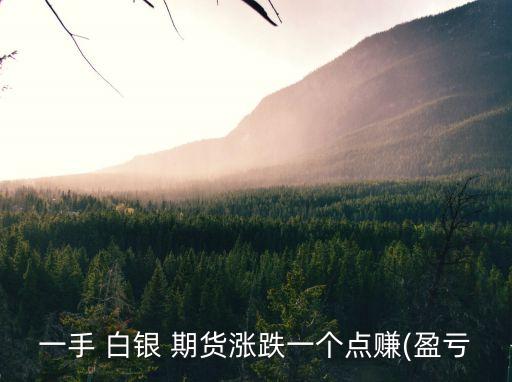 一手 白銀 期貨漲跌一個(gè)點(diǎn)賺(盈虧