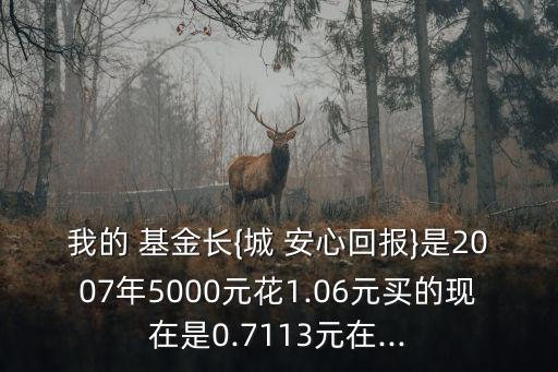 我的 基金長(zhǎng){城 安心回報(bào)}是2007年5000元花1.06元買的現(xiàn)在是0.7113元在...