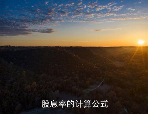  股息率的計算公式