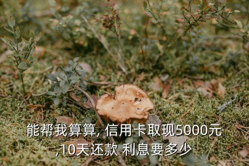 能幫我算算, 信用卡取現(xiàn)5000元,10天還款 利息要多少