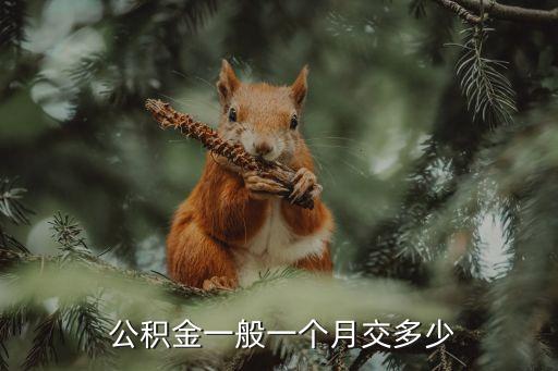  公積金一般一個(gè)月交多少