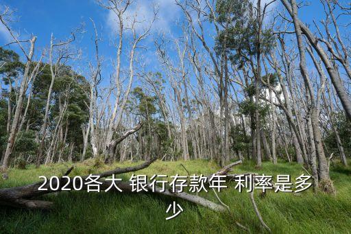 2020各大 銀行存款年 利率是多少