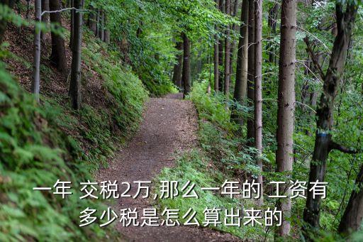 一年 交稅2萬,那么一年的 工資有多少稅是怎么算出來的